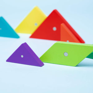 Magnetic Tangram Puzzle